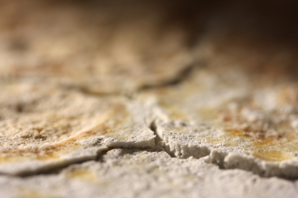 Detail of Plaster & Custard reaction I