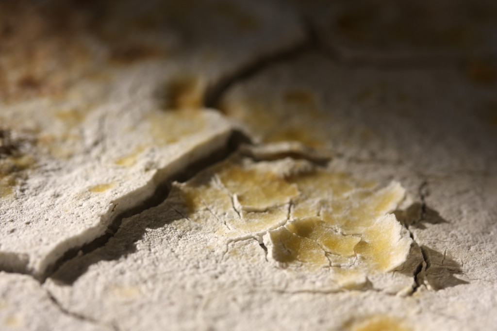 Detail of Plaster & Custard reaction II